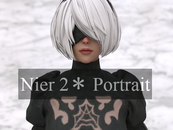 nier 2＊ portrait