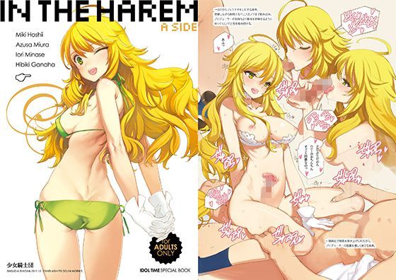 in the Harem A-side