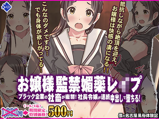 お嬢様監禁媚薬レ●プ-ブラック企業の社畜が復讐！社長令嬢が連続中出しで堕ちる！-