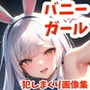 【画像大量追加】色んなバニーガールを犯しまくる画像集【合計303枚】