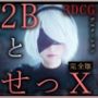 2BとせっX -3DCGアニメーション-  完全版