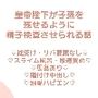 皇帝陛下の精子検査