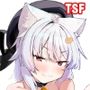 TSねこサキュバスさんは搾精なんてしたくない！3
