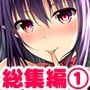 【FANZA専売】姫VOICE総集編1★5作品パック！総再生時間10時間！【バイノーラル】